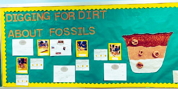 Fossil Bulletin Board