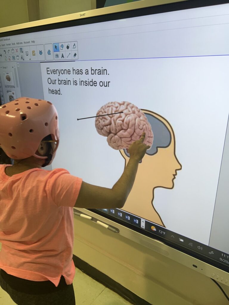 female student wearing a protective pink helmet using the smartboard to match a picture of the Brain.