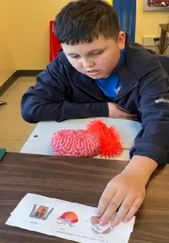 Boy wearing blue shirt matching picture symbols on a rectangular choice board.