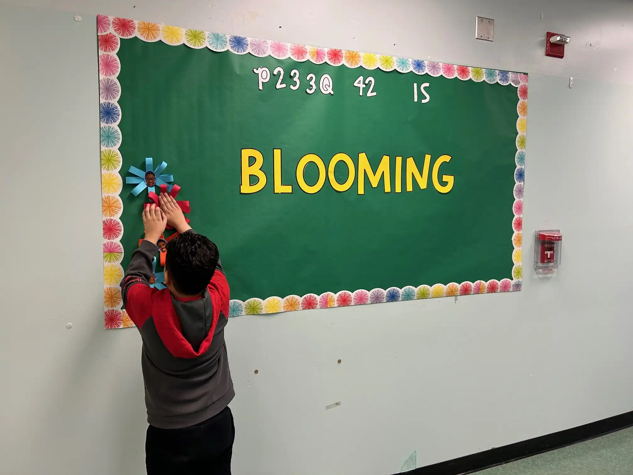Student putting up paper flowers on a green bulletin board